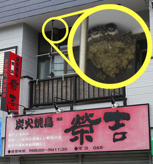 yakitori01.jpg